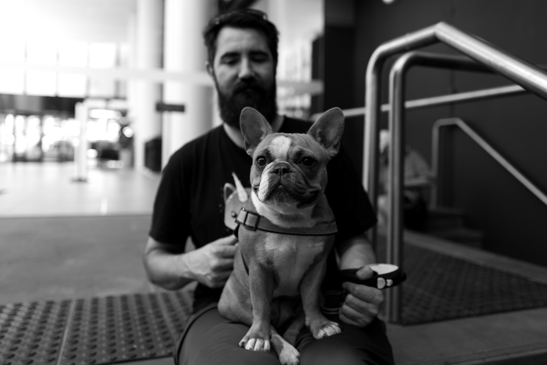 melbourne street photography - PUPPY