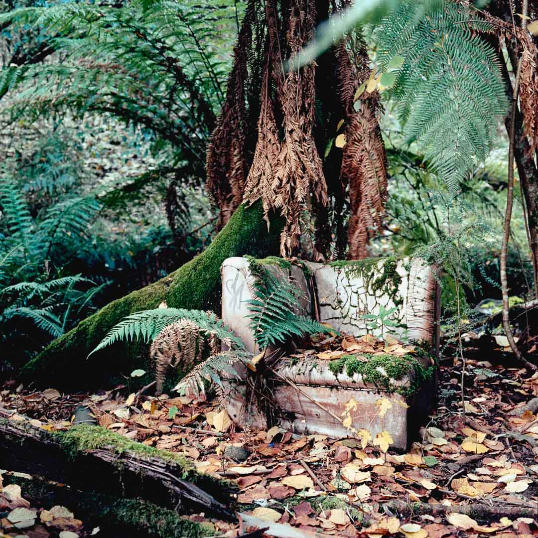shooting film in a lost and forgotten section of woods in the outer stretches of Melbourne an armchair rests with moss growing all over as the wilds reclaim