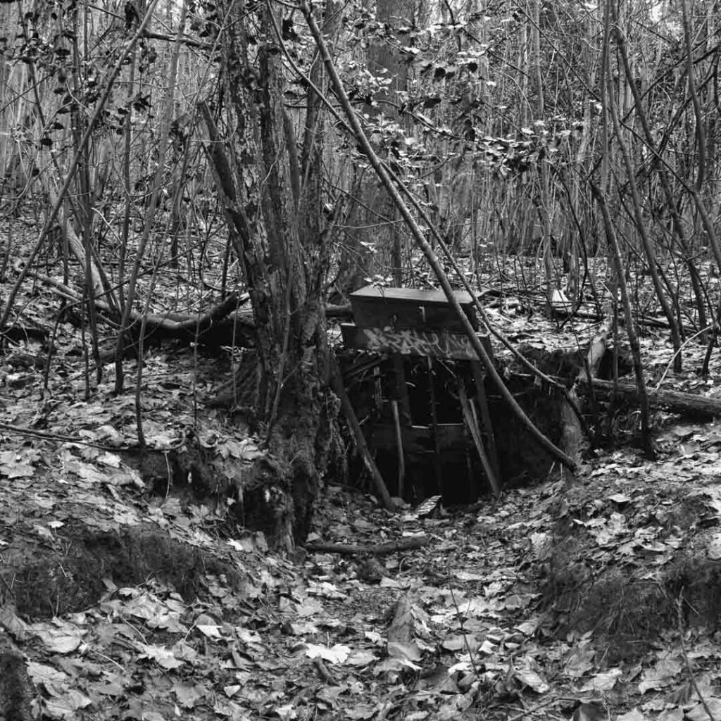 black and white film photograph of what is maybe the gold mine in the Dandenong Ranges