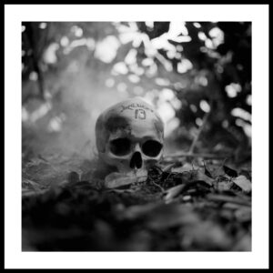 human skull in the forest